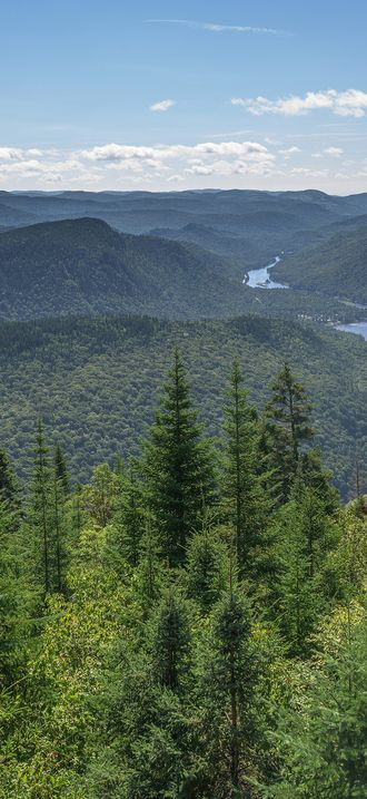 Panoramic view of Jacques-Cartier National Park from the Wolves peak (Les Loups), Quebec,