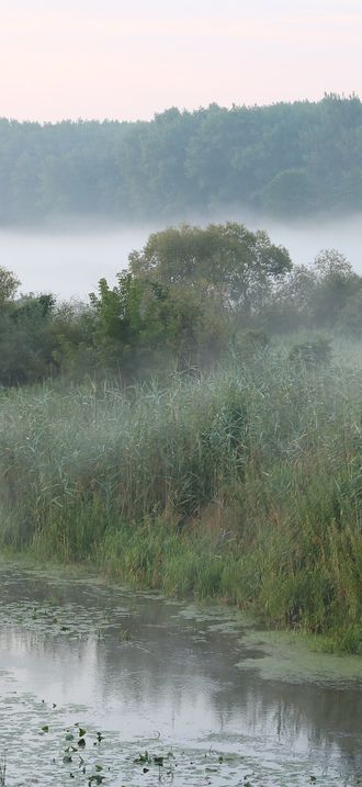 Desna river Vinn meadow 2016 G2