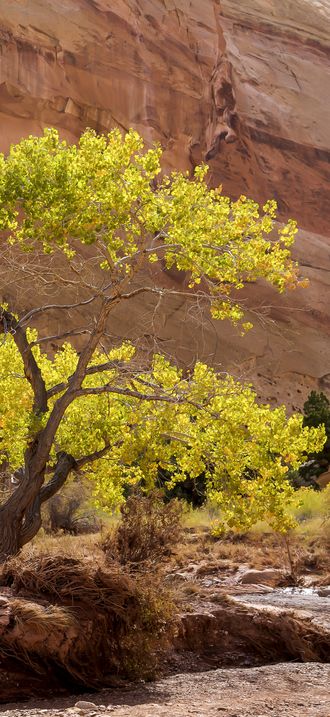 San Rafael Swell