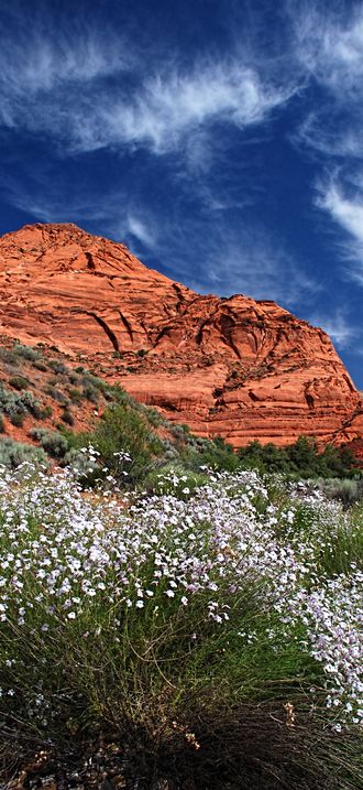 Cottonwood Canyon Wilderness