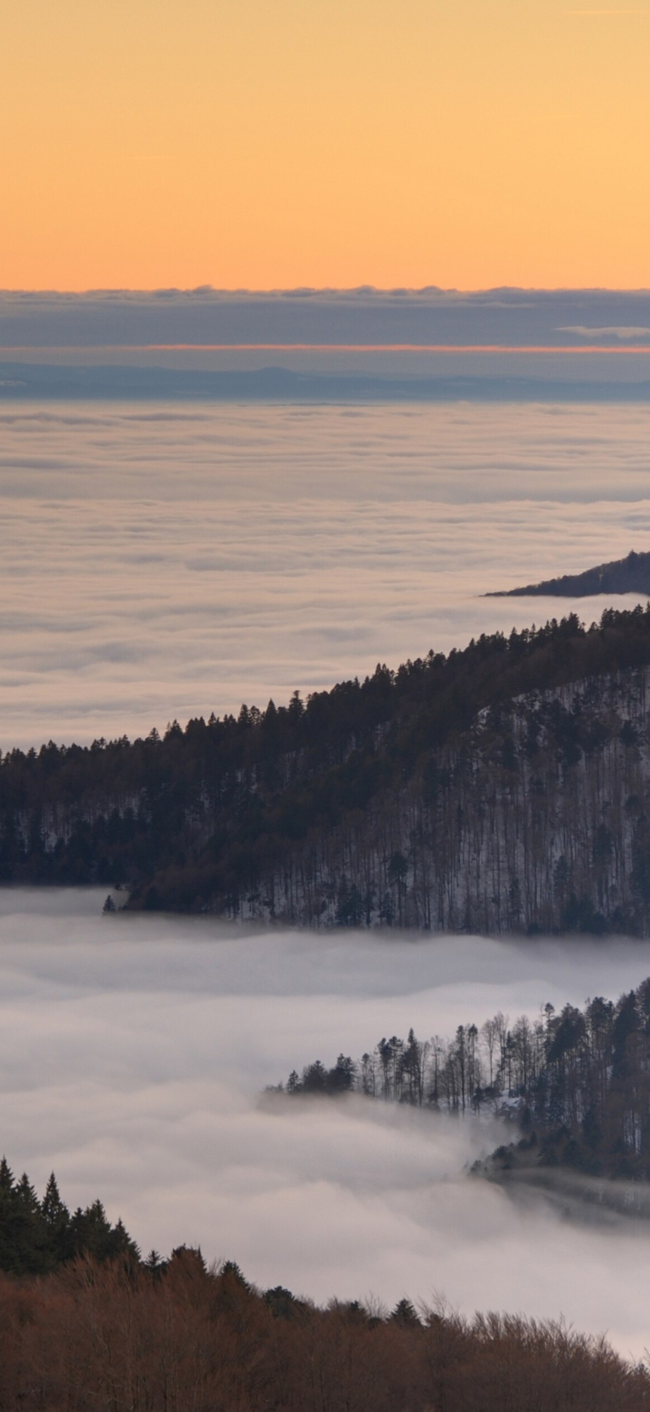 Vallee-brouillard