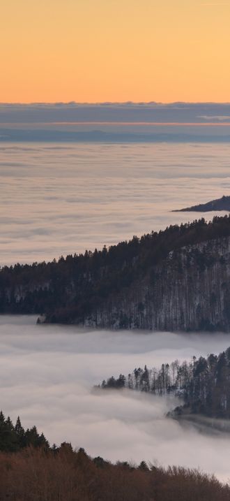 Vallee-brouillard