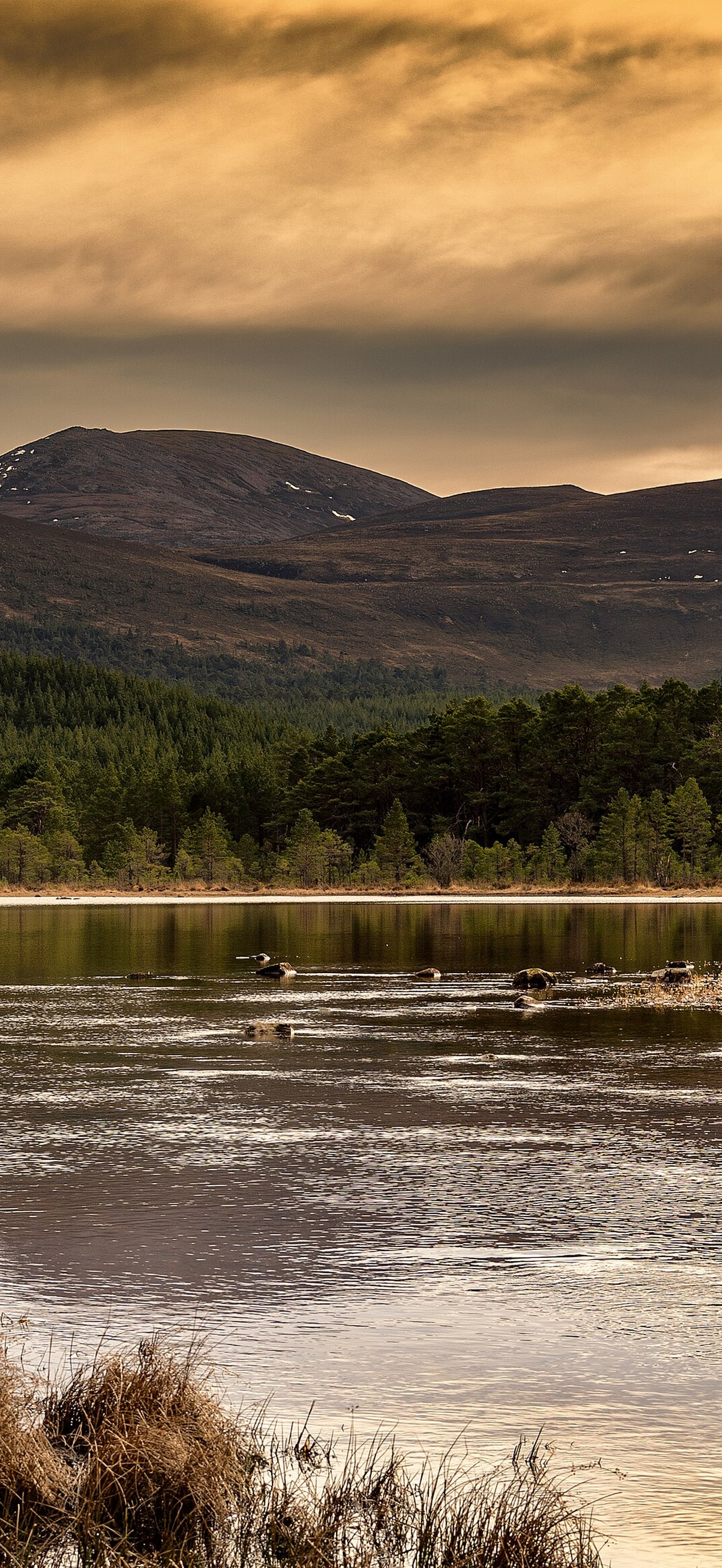 Loch Morlich in Scotland