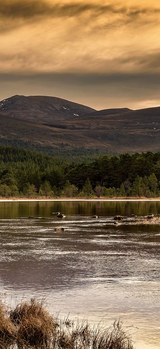Loch Morlich in Scotland