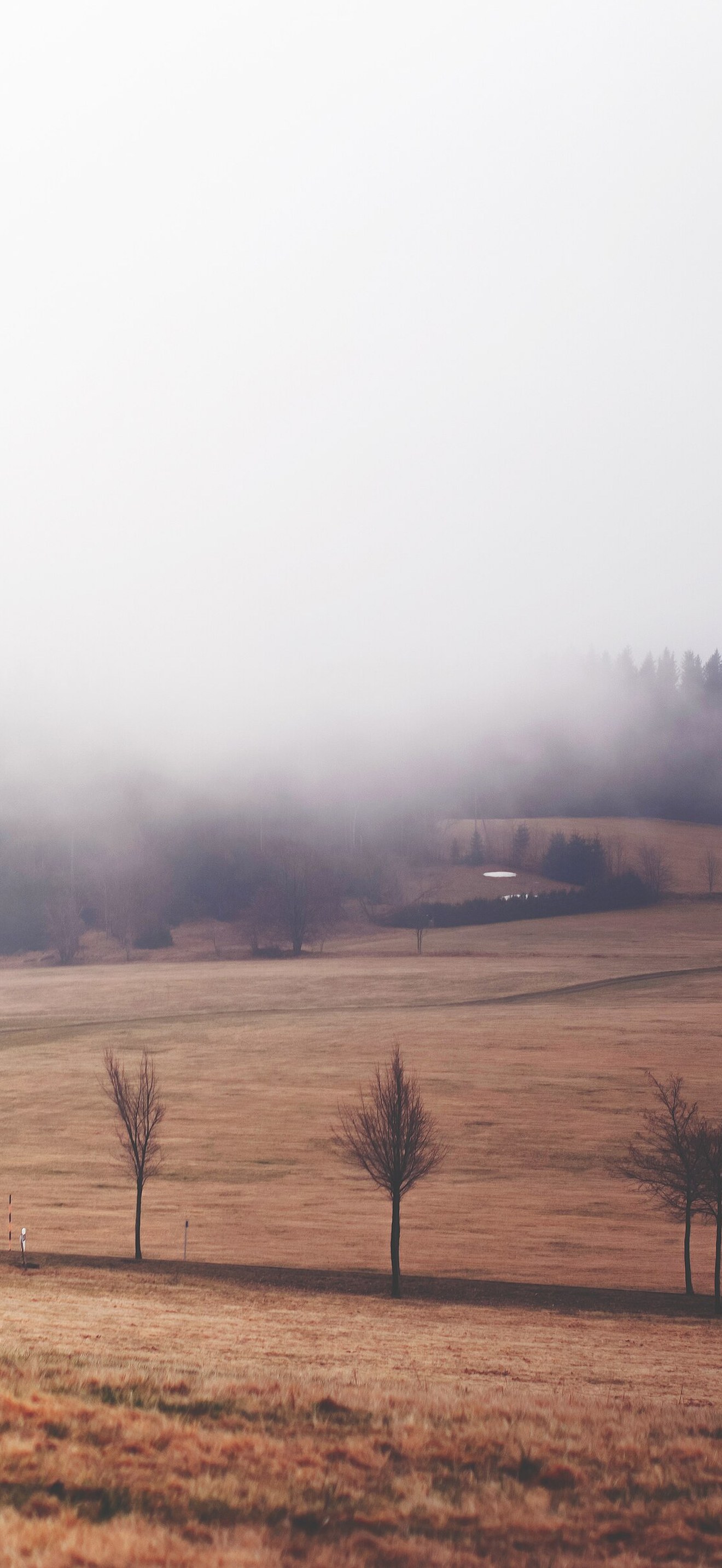 Misty weather
