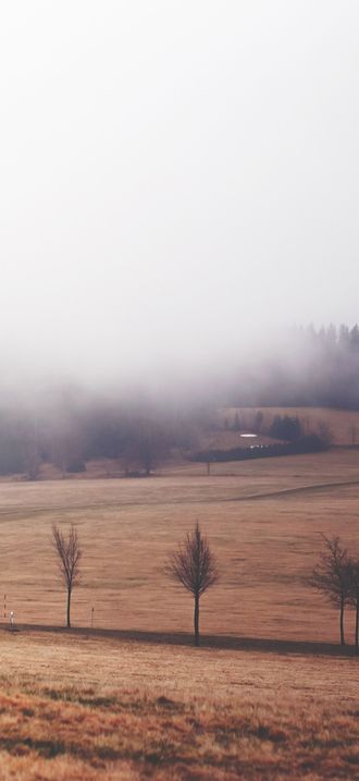 Misty weather
