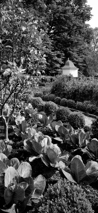 Garden at Mount Vernon, Virginia
