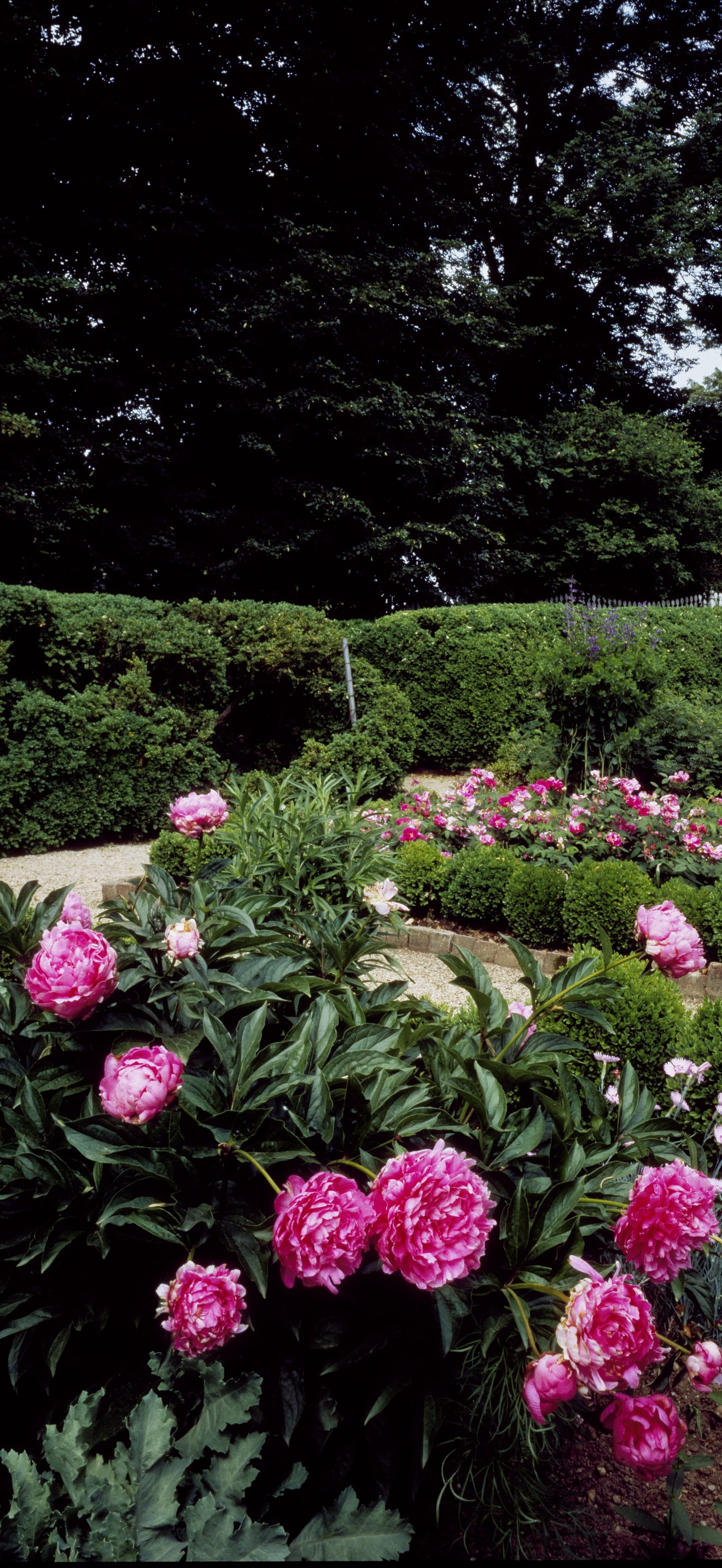 Garden at Mount Vernon, George Washington's Virginia estate