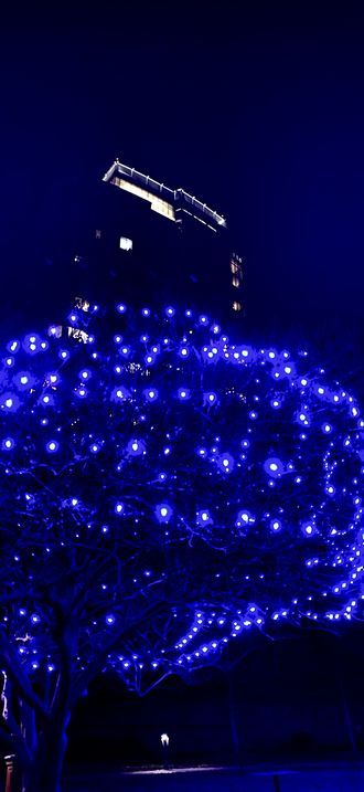 Holiday lights at One City Center, Durham