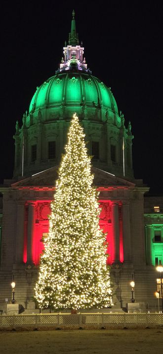 Tree with lights in front of San Francisco City Hall