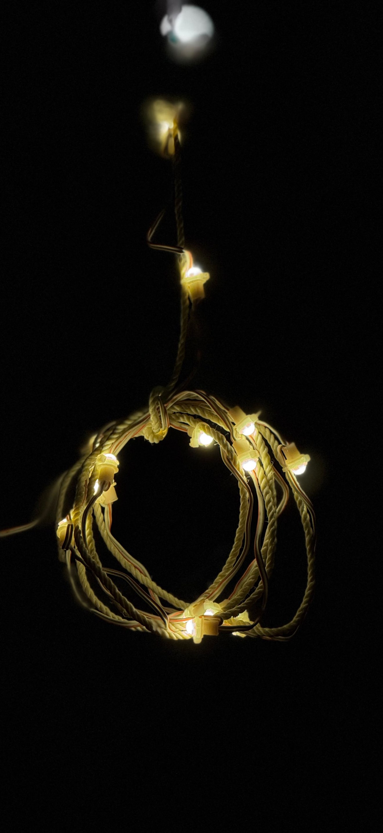 Coiled Fairy Lights