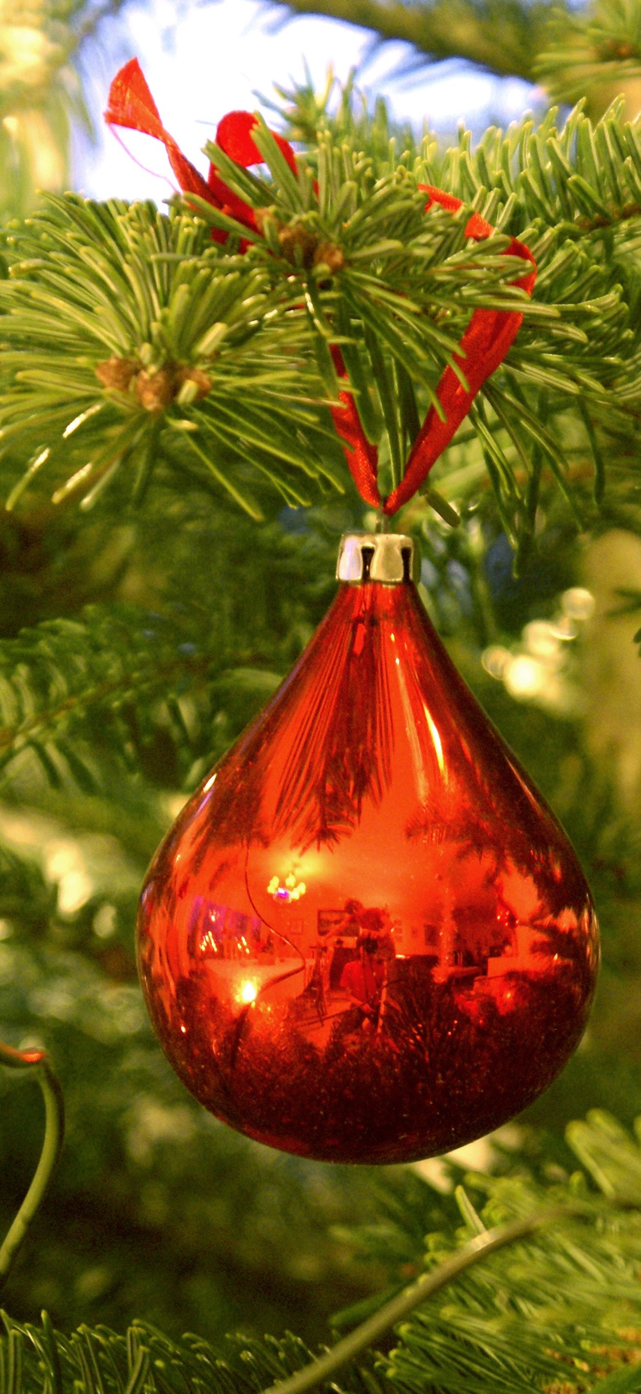 Julgranskula