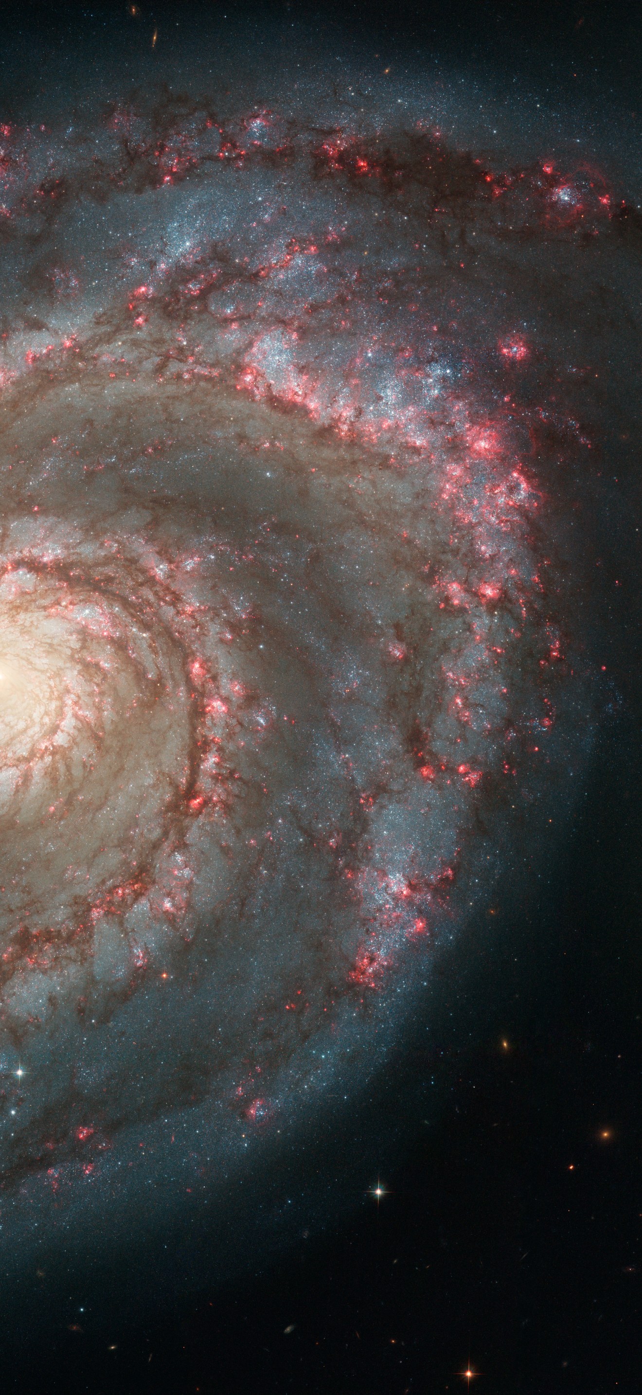 Out of this whirl: The Whirlpool Galaxy (M51) and companion galaxy