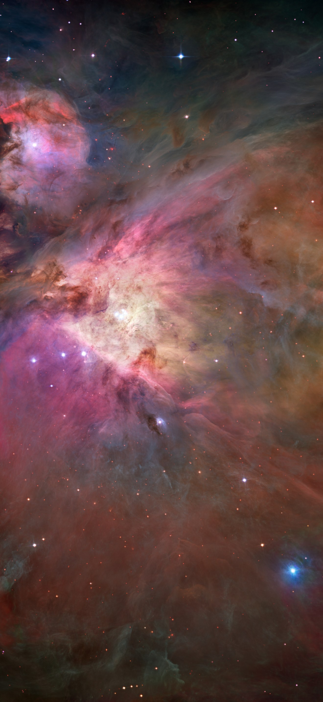 Hubble's sharpest view of the Orion Nebula