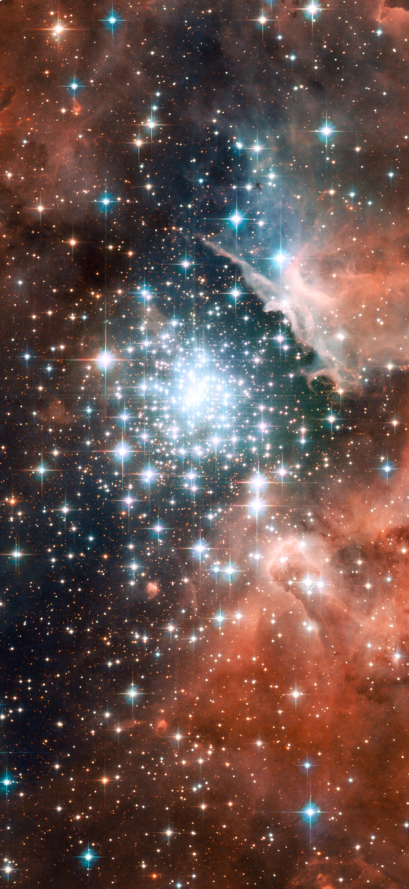 Extreme star cluster bursts into life in new Hubble image