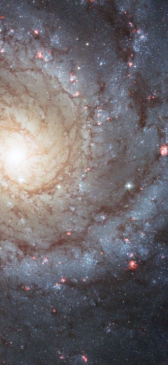 Holiday wishes from the Hubble Space Telescope