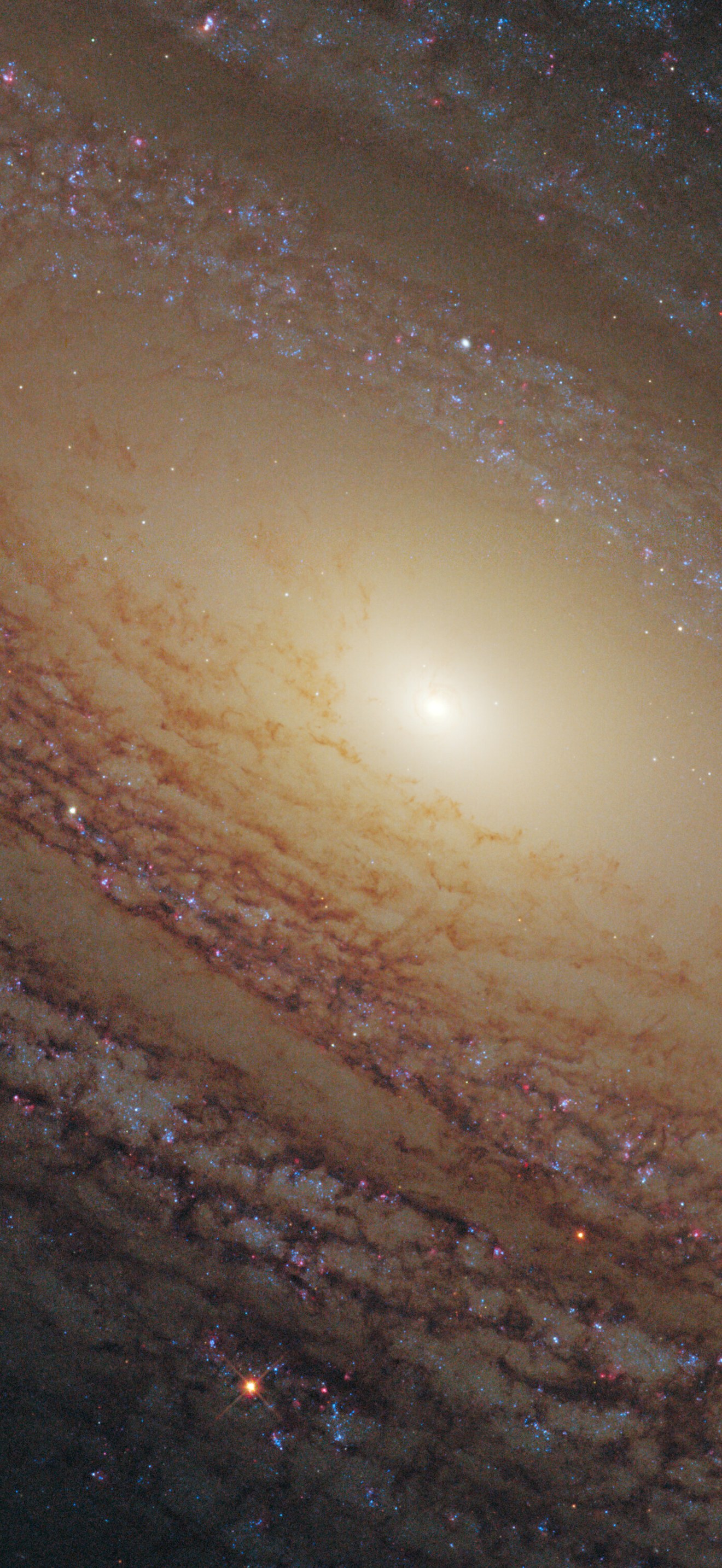 Flocculent spiral NGC 2841