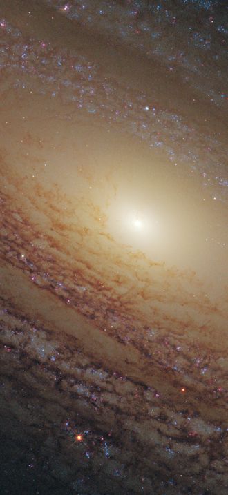 Flocculent spiral NGC 2841