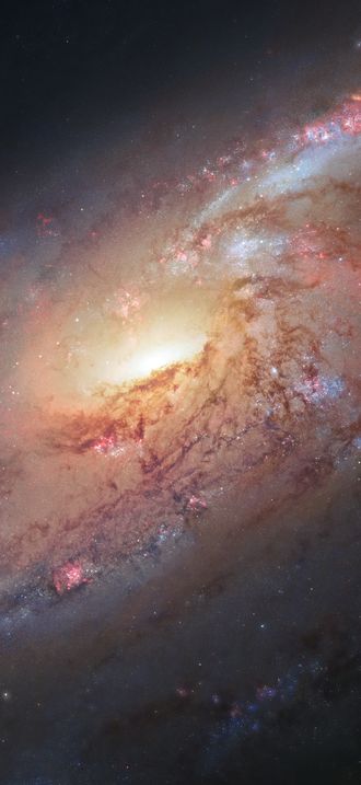 Hubble view of Messier 106