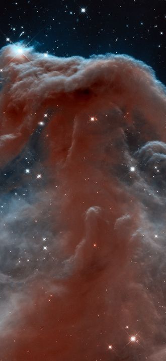 New infrared view of the Horsehead Nebula — Hubble’s 23rd anniversary image
