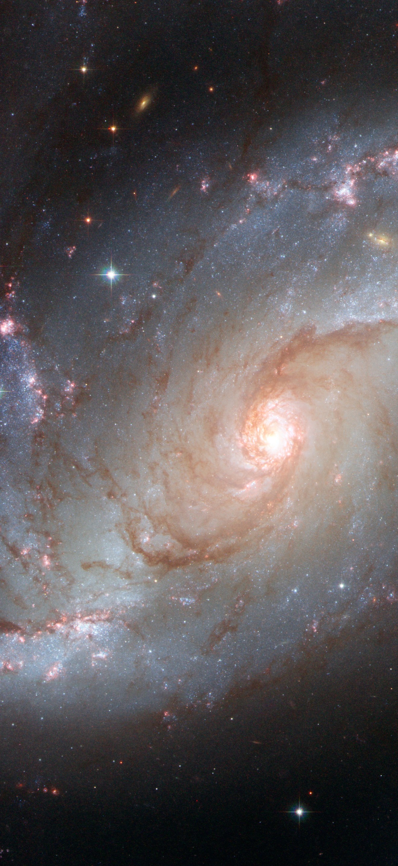 Stellar nursery in the arms of NGC 1672