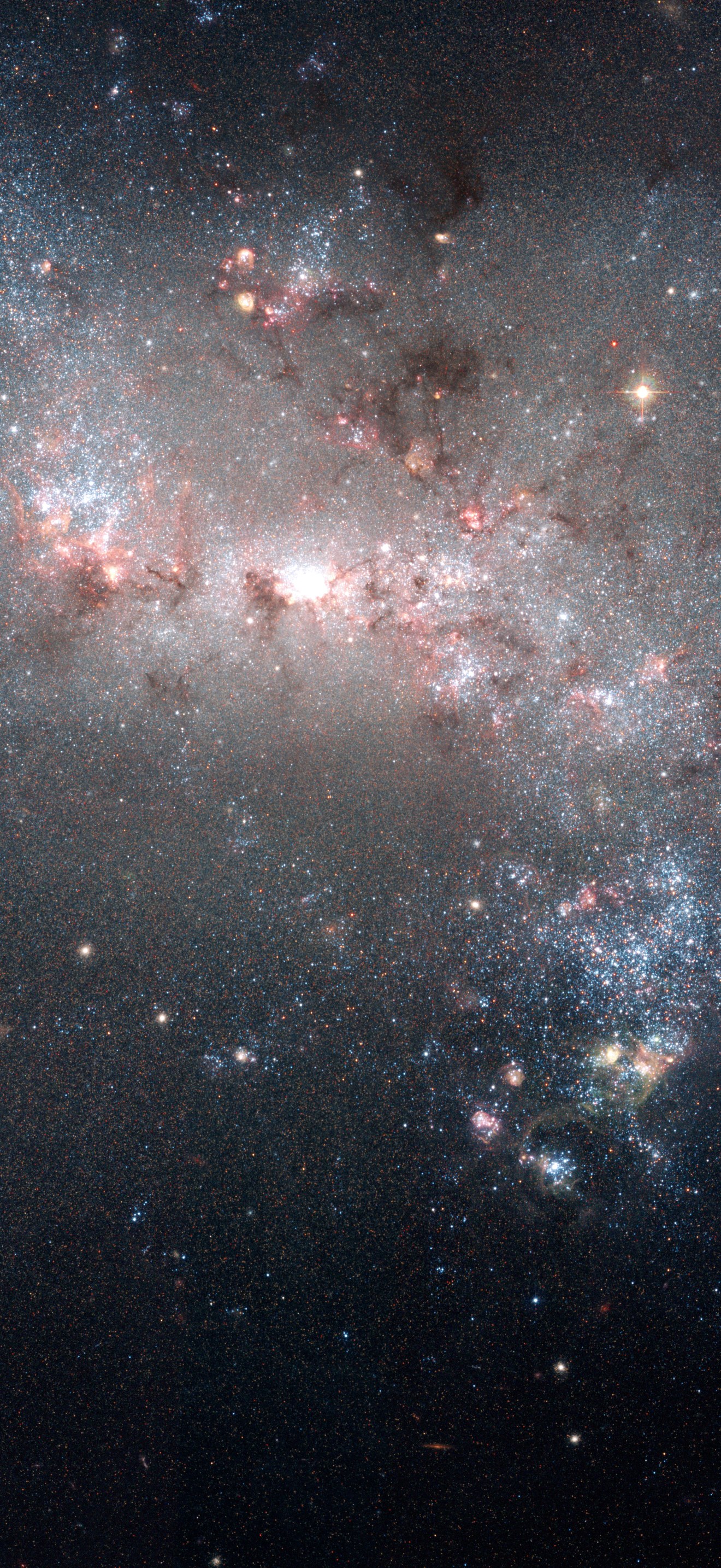 Stellar fireworks are ablaze in galaxy NGC 4449