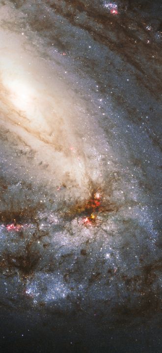 Hubble snaps heavyweight of the Leo Triplet