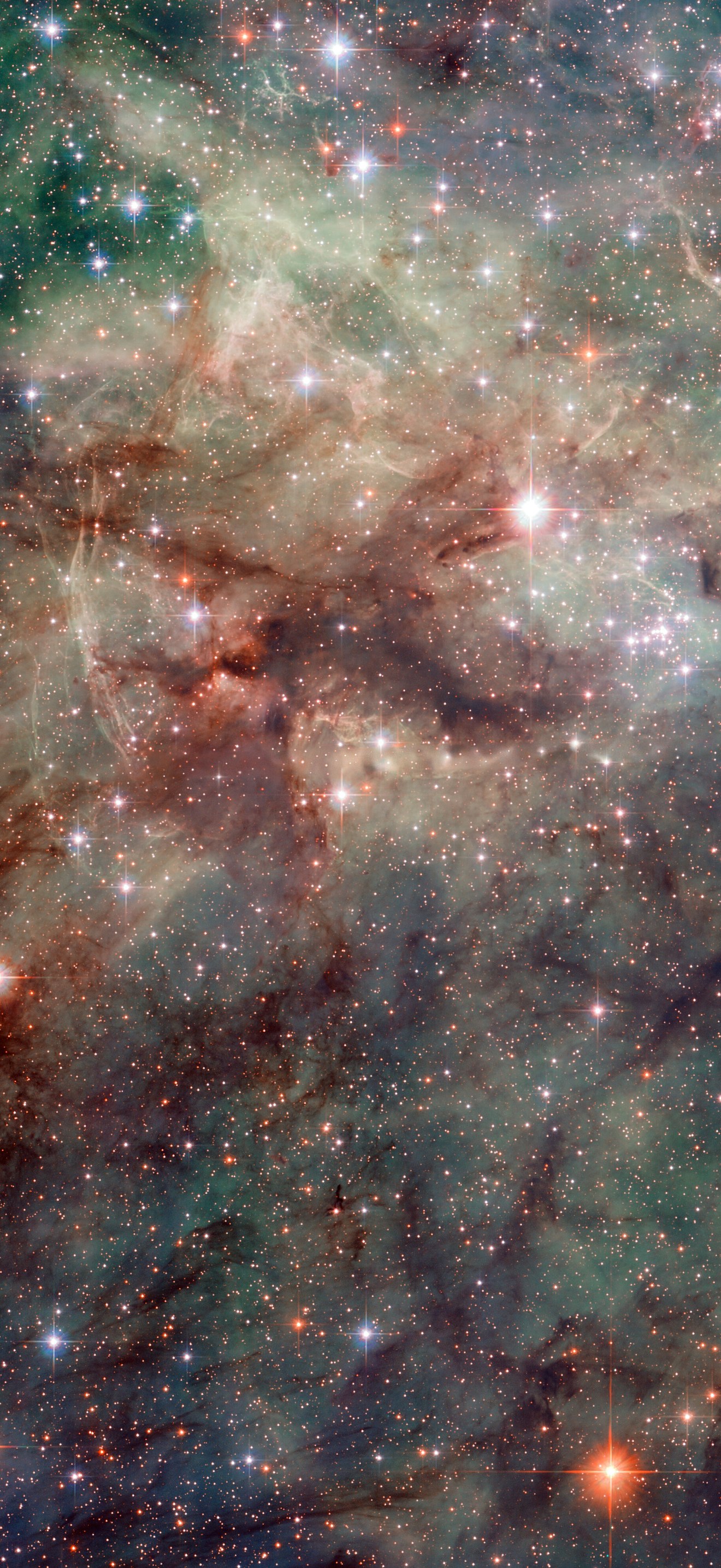 Hubble snaps close-up of the Tarantula