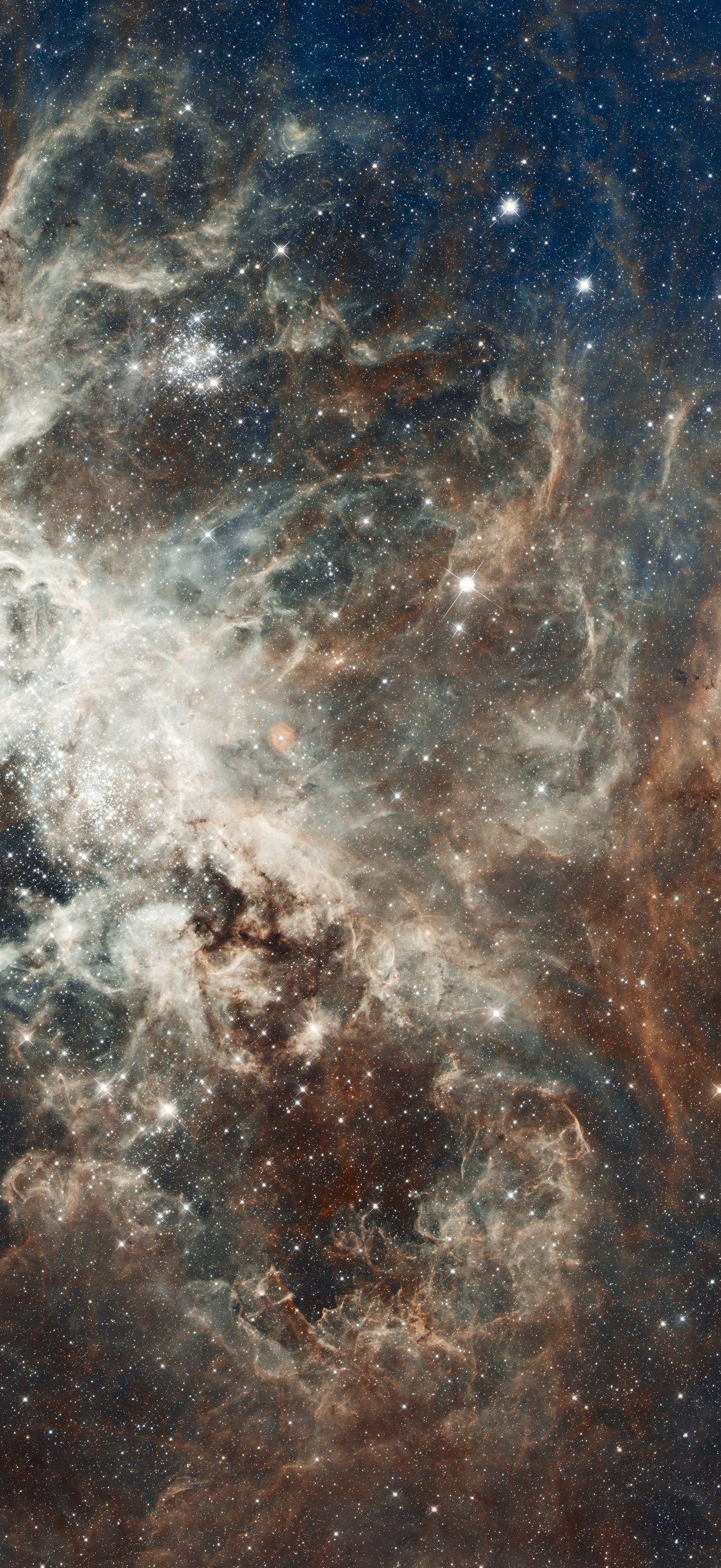 Hubble's panoramic view of a star-forming region