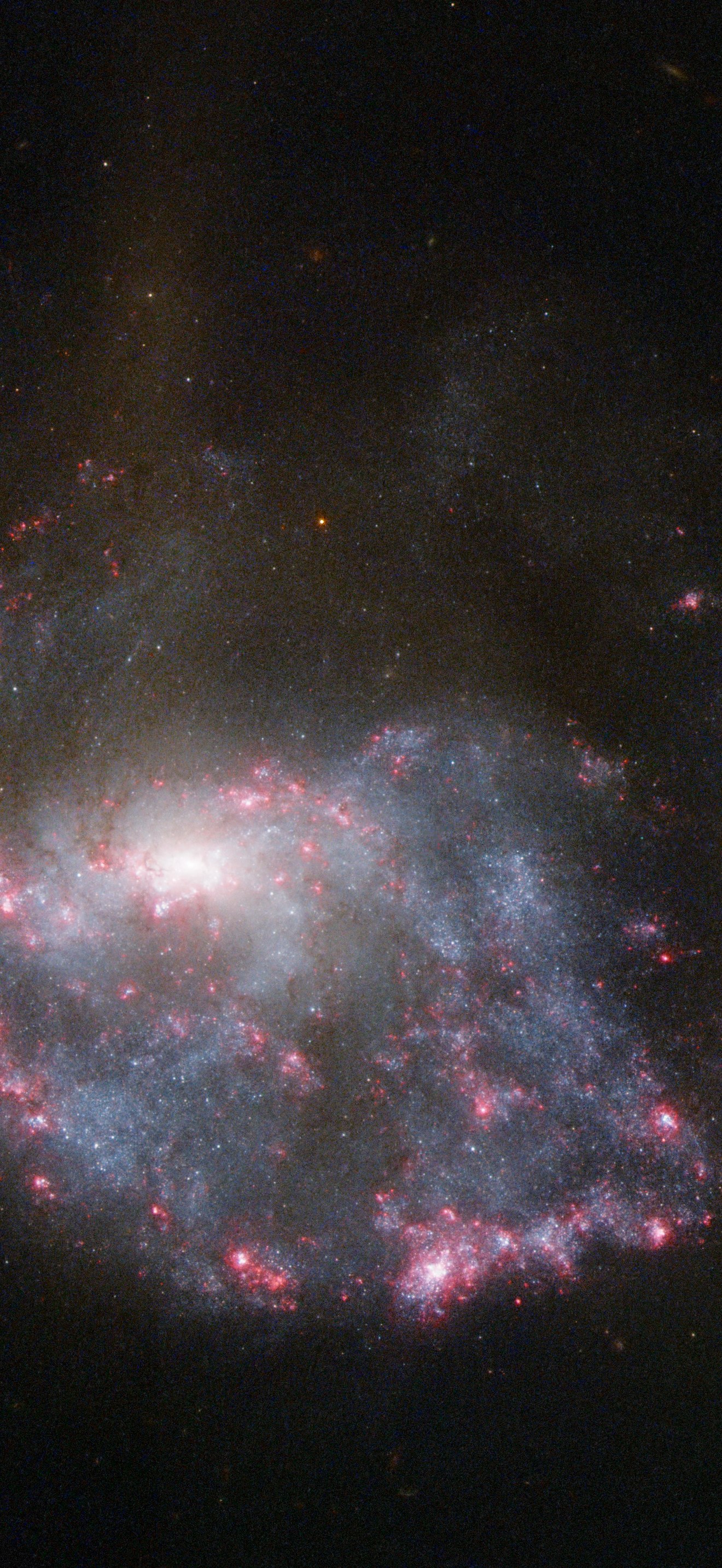 Hubble view of NGC 922
