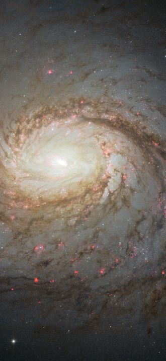 Hubble image of Messier 77