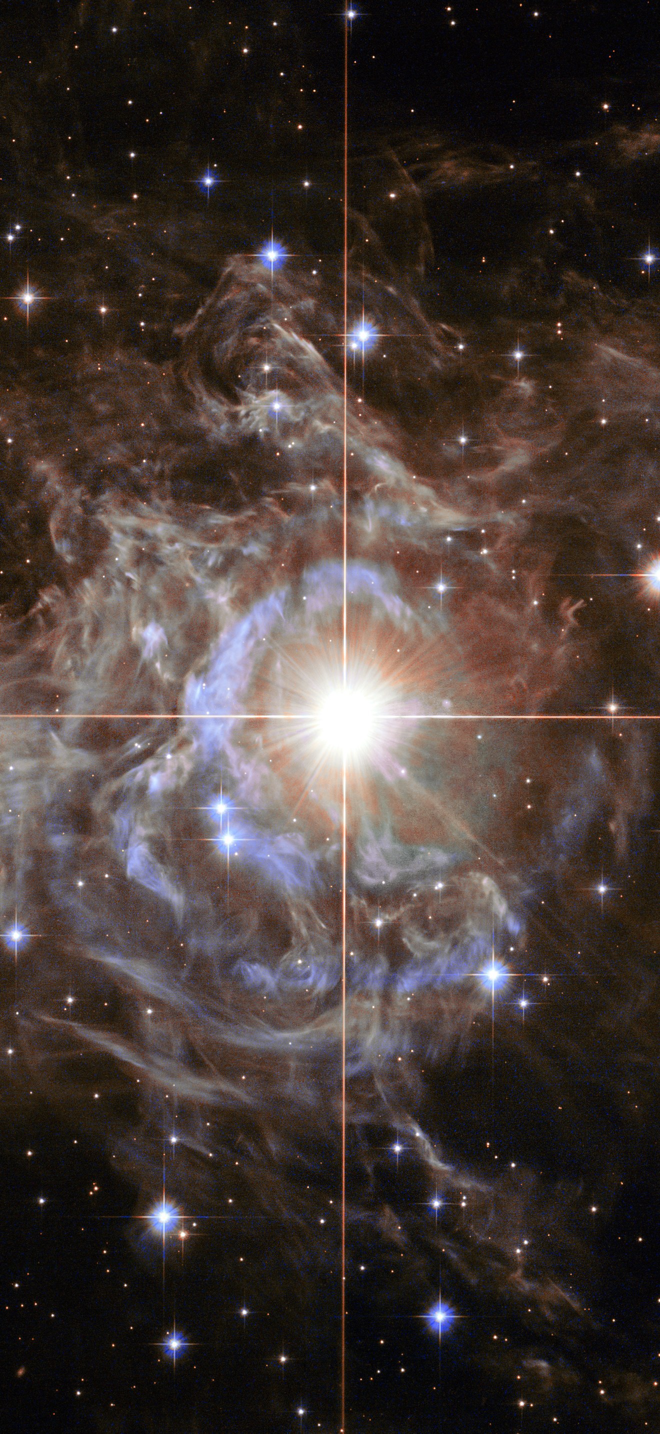 Hubble image of variable star RS Puppis