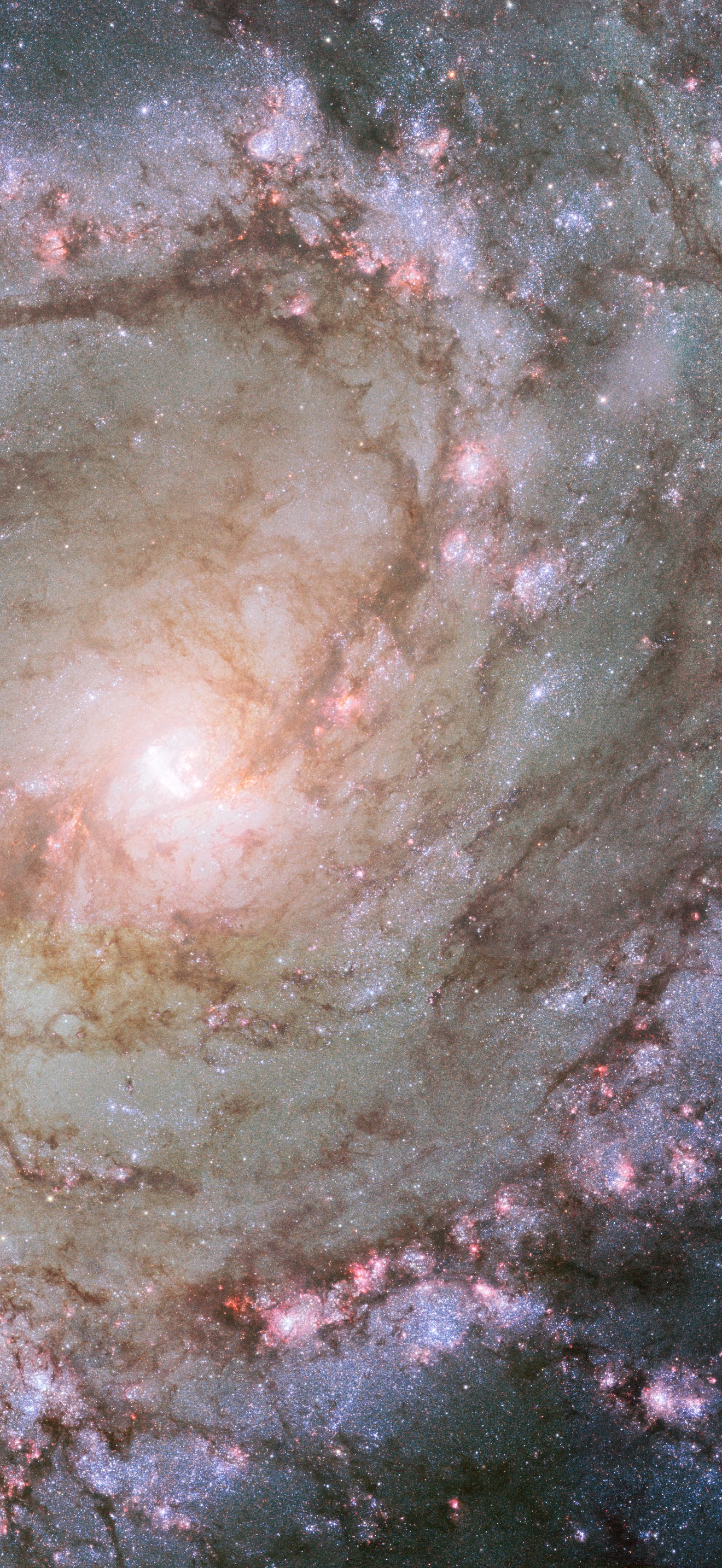 Hubble view of barred spiral galaxy Messier 83