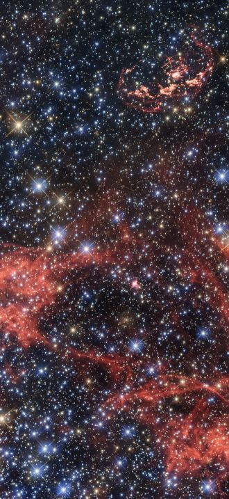 Supernova remnant N103B