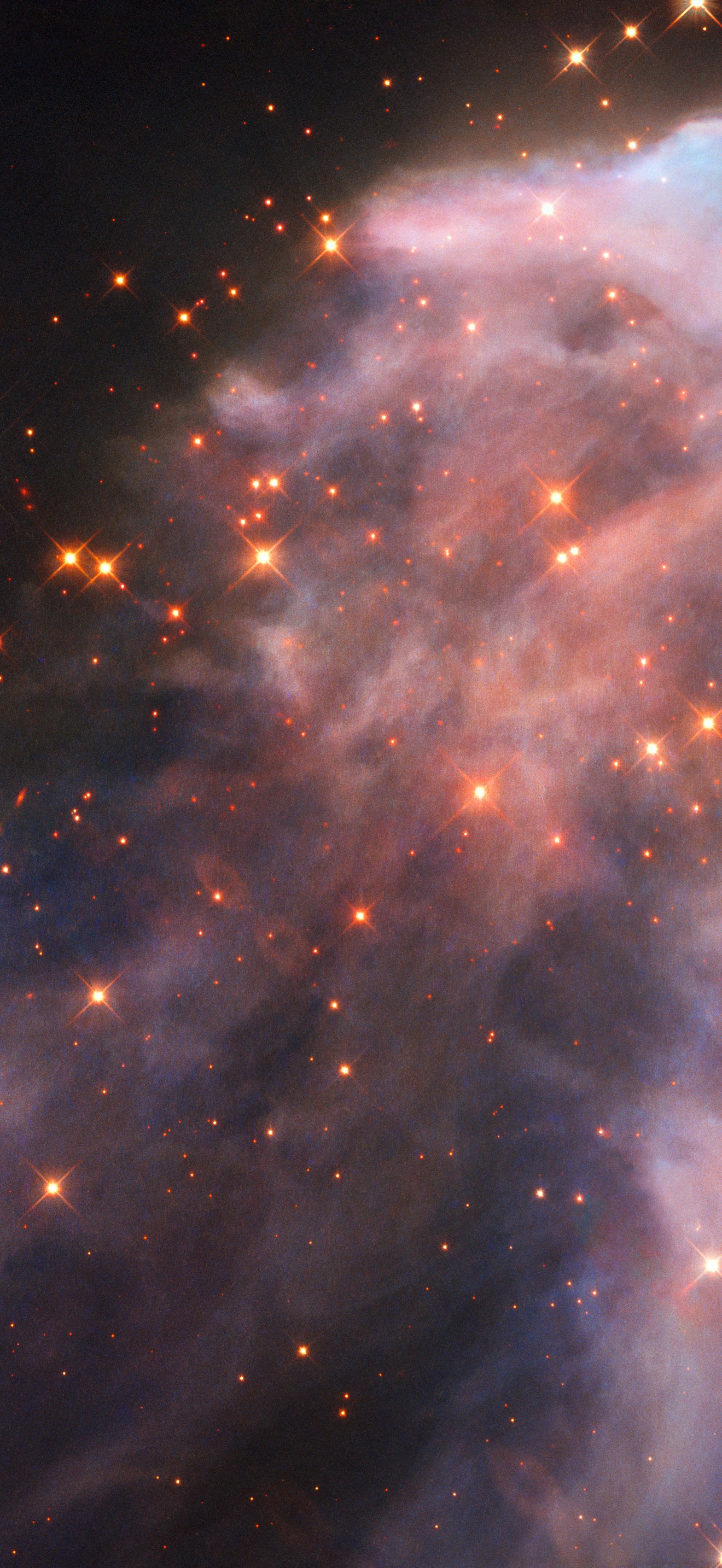 The Ghost Nebula