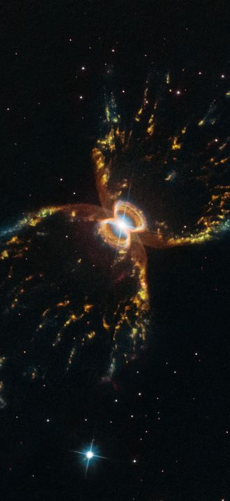 The Crab of the Southern Sky