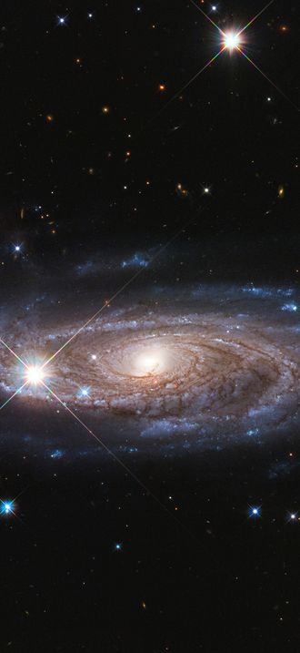 UGC 2885