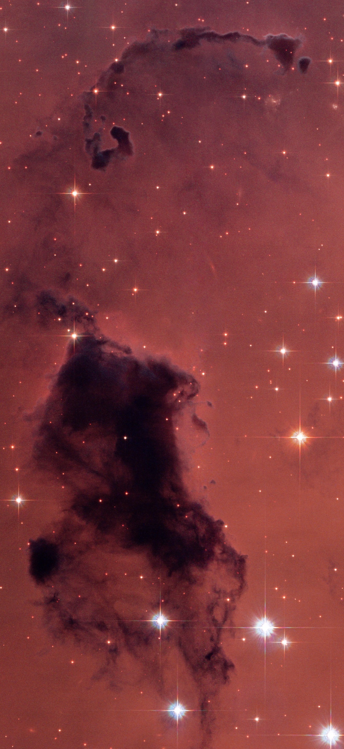 Nearby dust clouds in the Milky Way