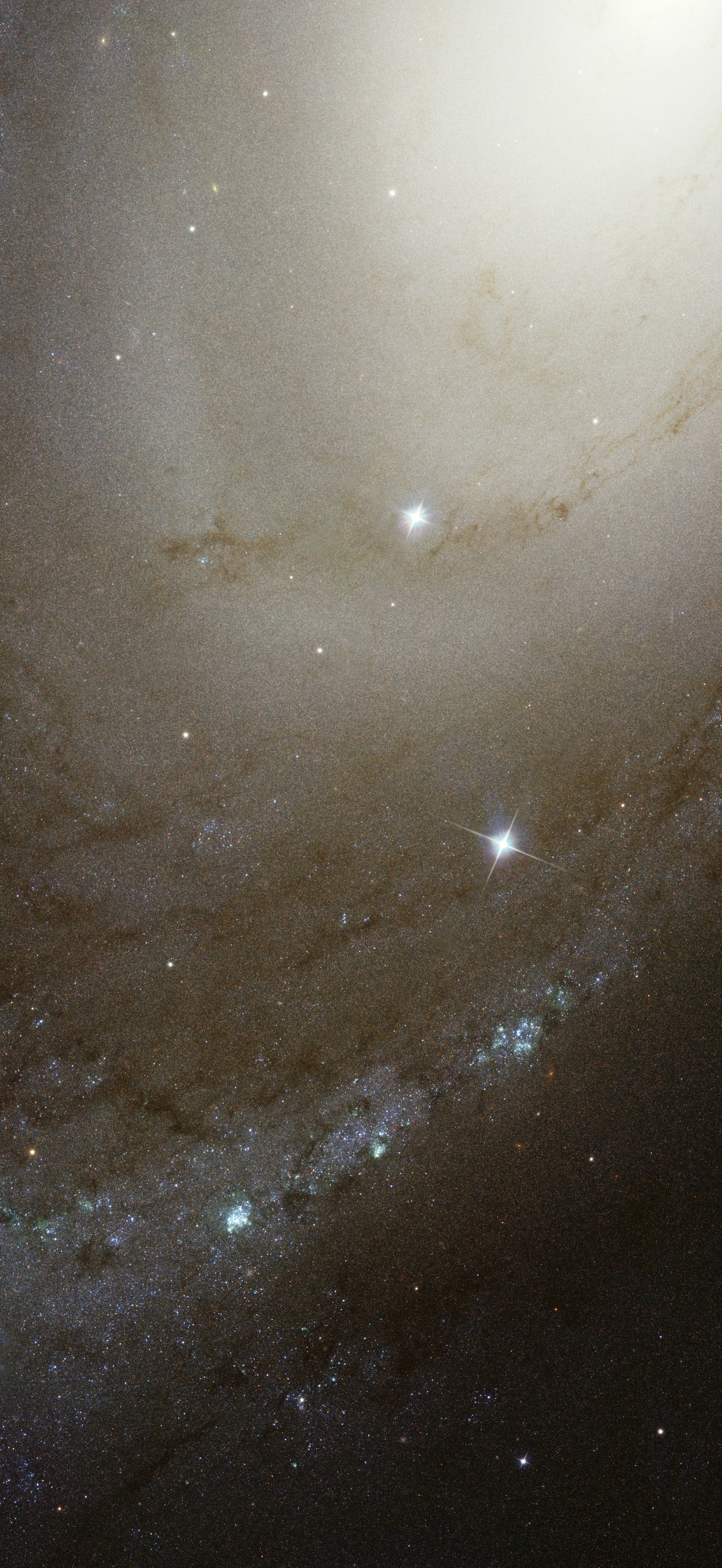 Spiral galaxy M81