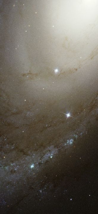 Spiral galaxy M81