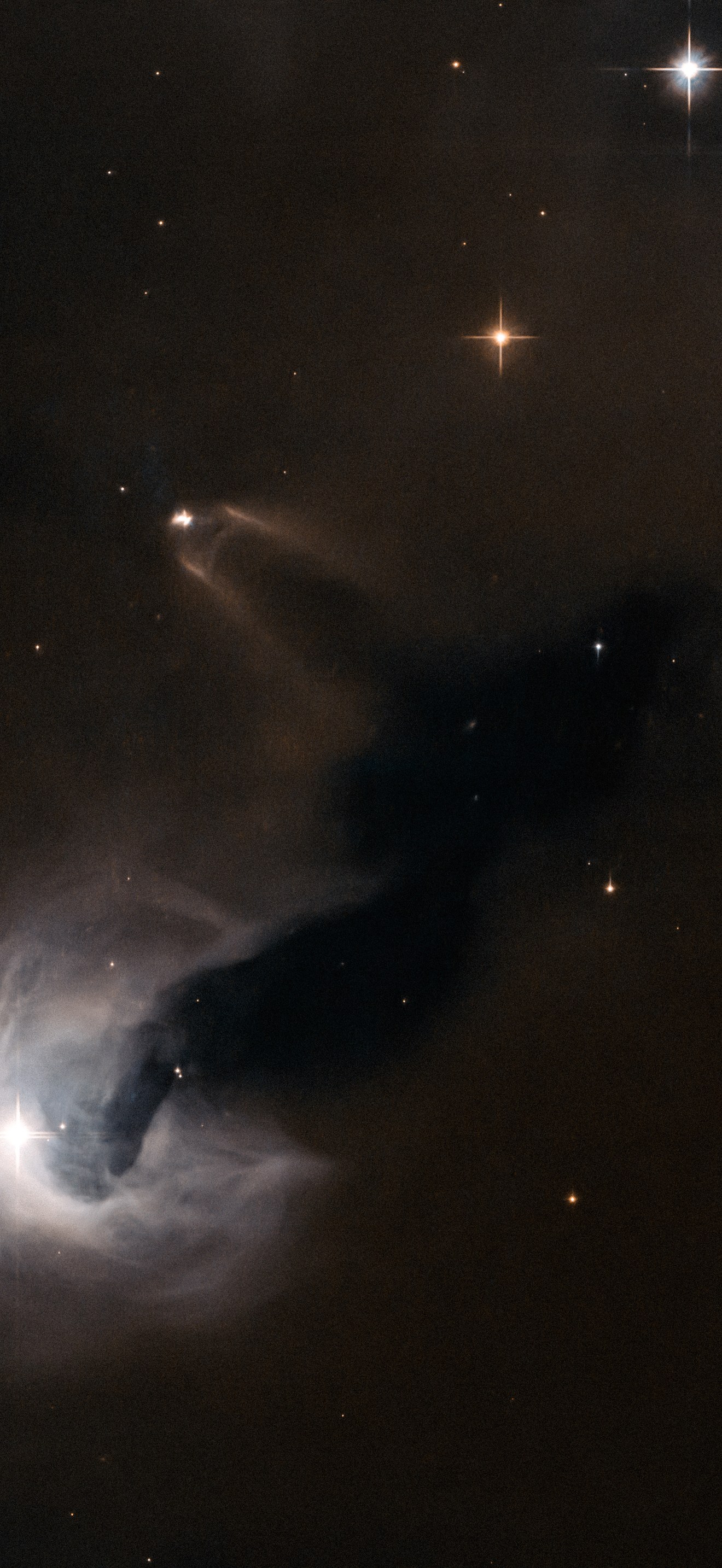 Light and dark