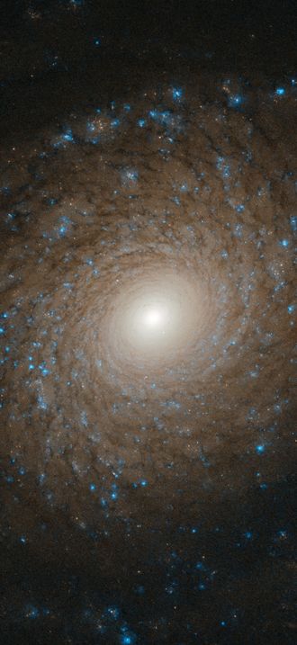 A Beautiful Whorl