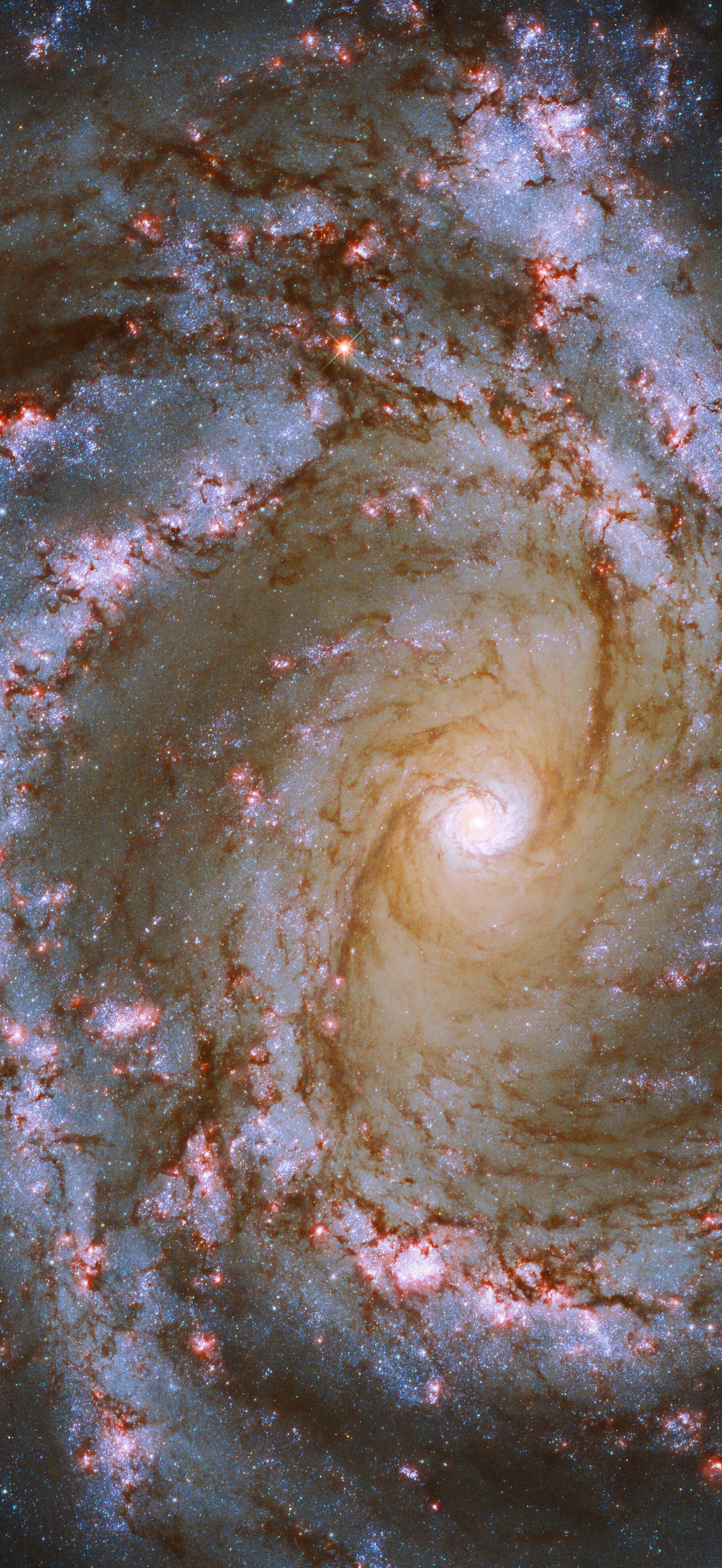 Spiral Snapshot