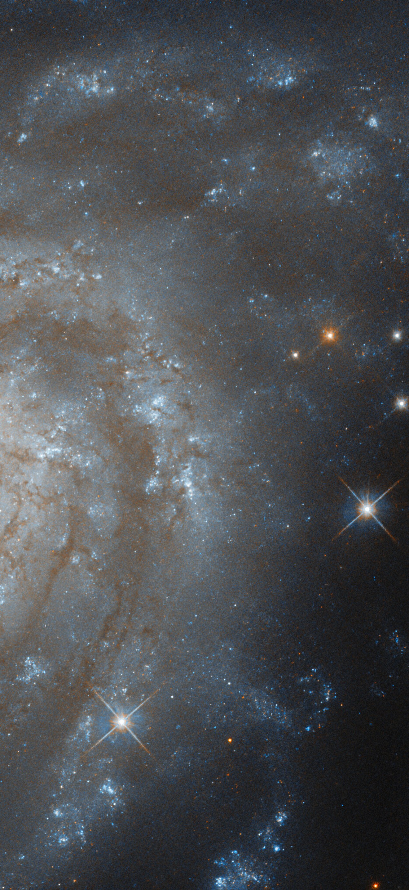 Luminous in Lepus