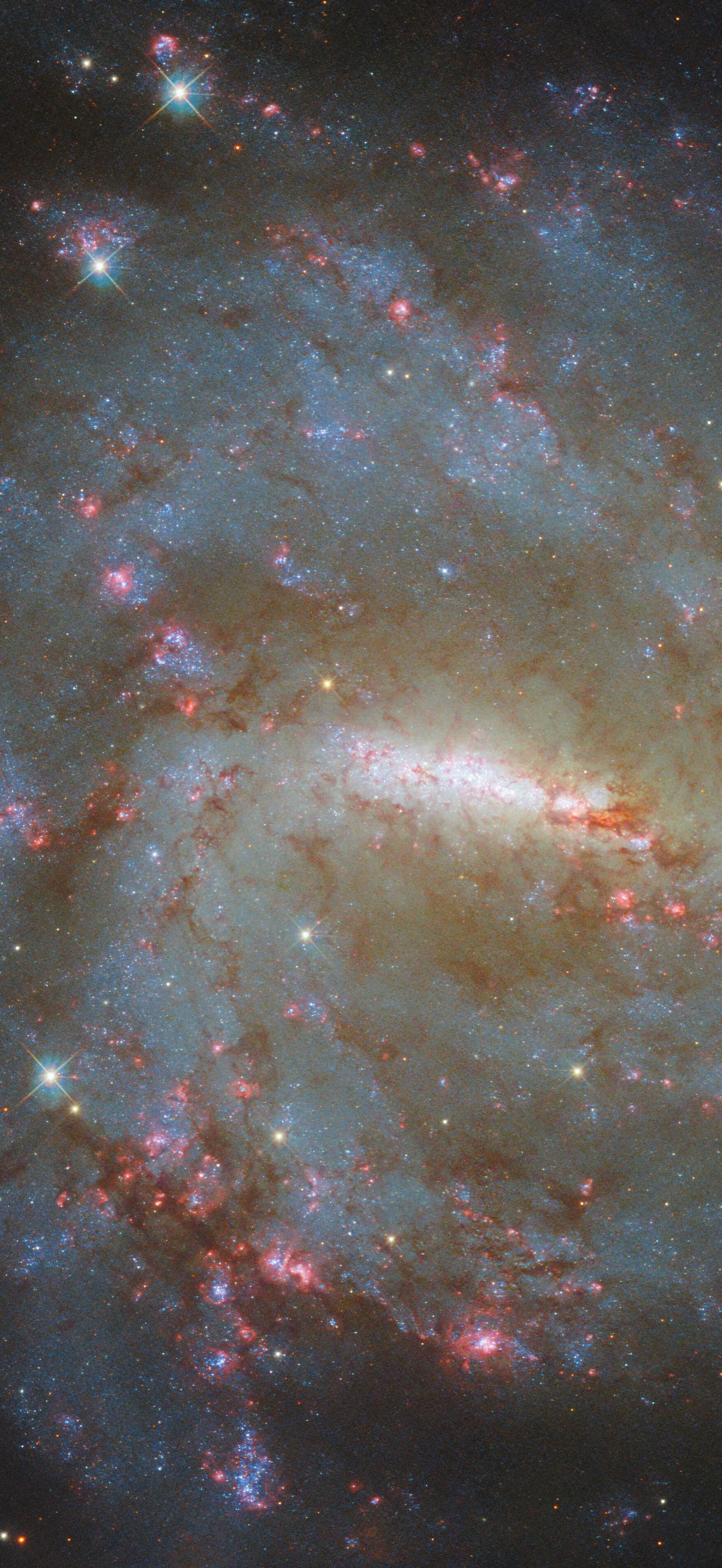 A broad and narrow galactic view