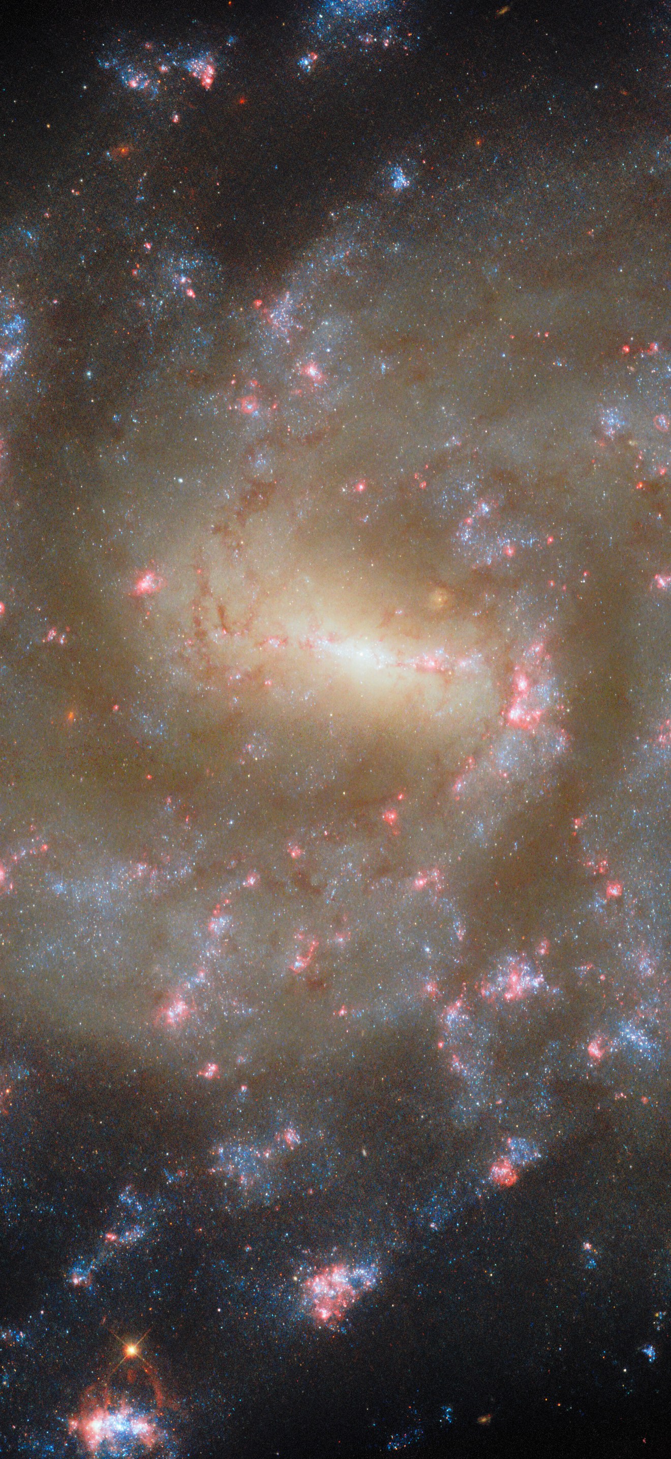 Starry spectacle