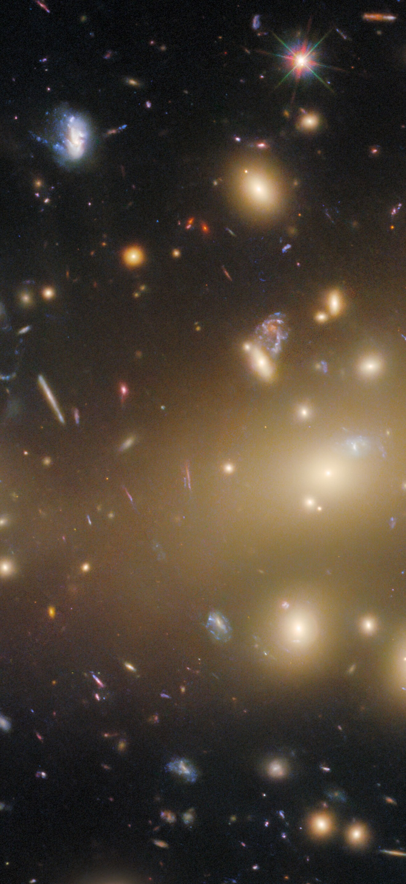 Portrait of a galaxy cluster