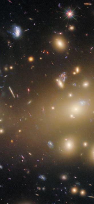 Portrait of a galaxy cluster