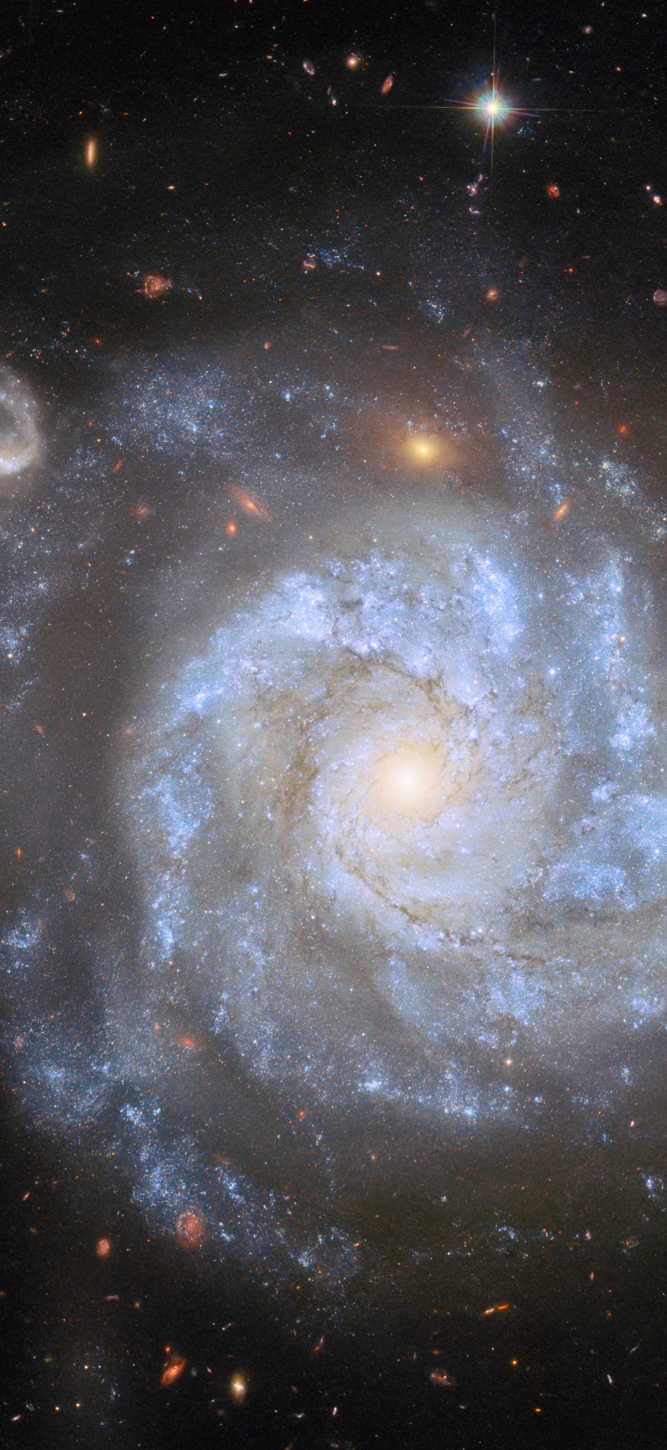 A supernova-rich spiral