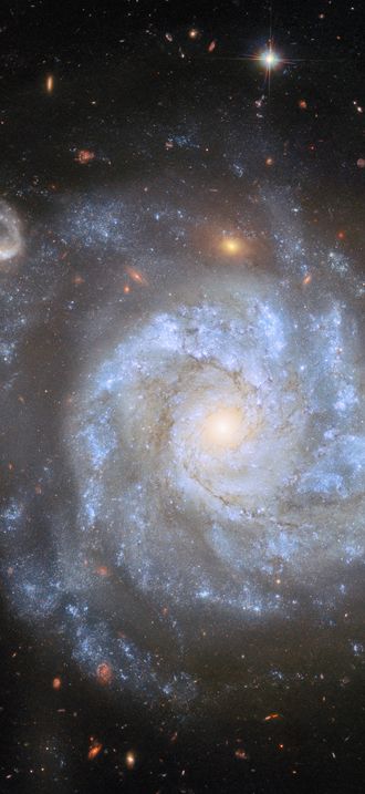 A supernova-rich spiral
